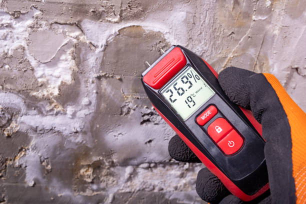 Best Attic Mold Remediation in Saukville, WI