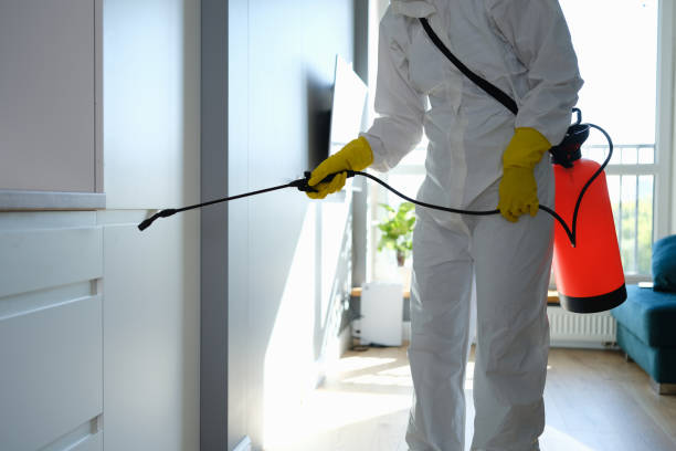 Best Industrial Mold Remediation in Saukville, WI